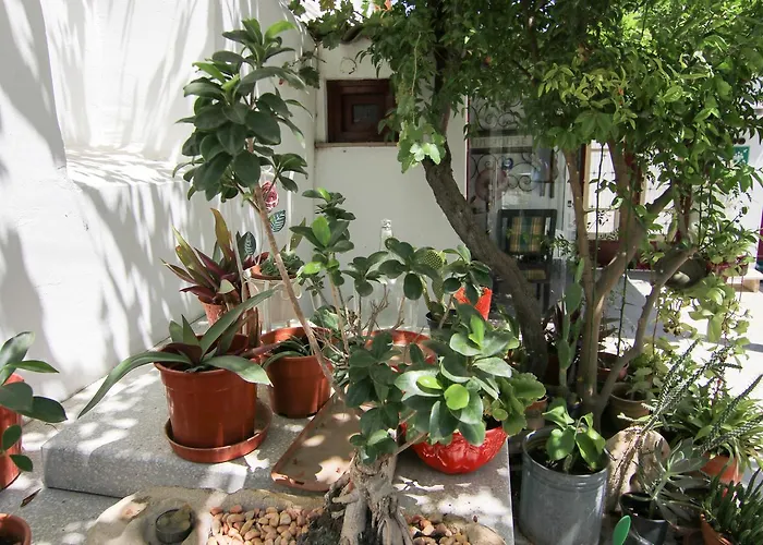 Gul Hanim House Boutique 3*