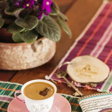 Gul Hanim House Boutique 3* Nicosia