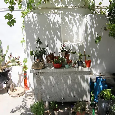 Gul Hanim House Boutique מלון