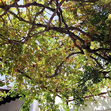 מלון Gul Hanim House Boutique