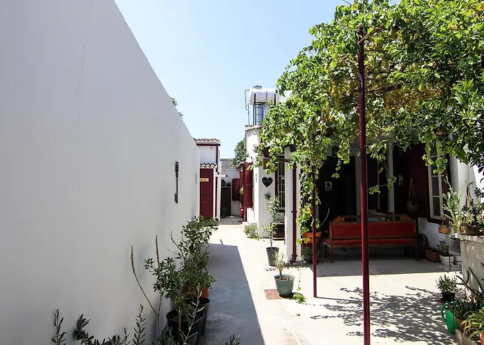 Отель Gul Hanim House Boutique