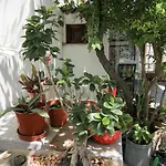 Gul Hanim House Boutique 3*