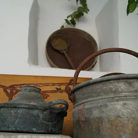 بوتيك جل هانيم هاوس فندق *