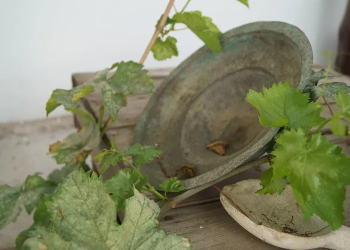 Gul Hanim House Boutique Hotel Nicosie